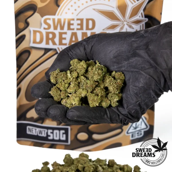 Golden Sweed Mix CBD (2025/26) - Imagen 2