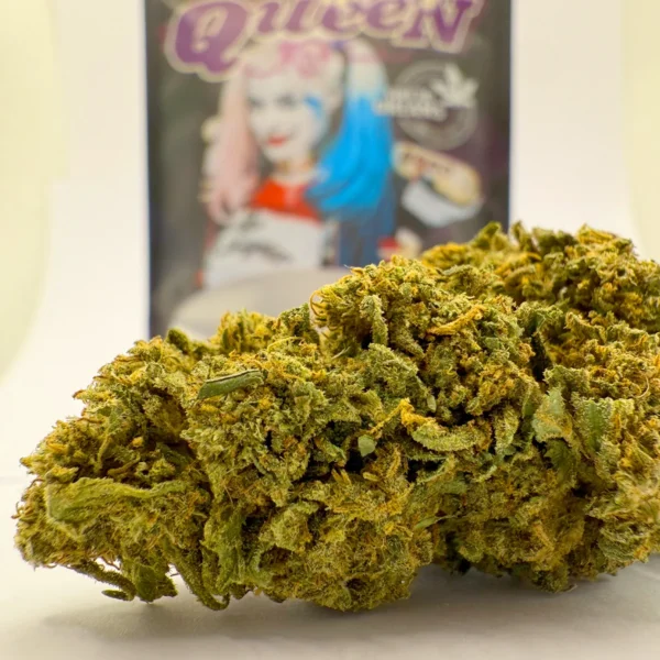 Harley Queen