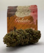 DESCATALOGADO - Gelato Edición 2025 - Imagen 2