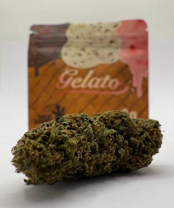 DESCATALOGADO - Gelato Edición 2025 - Imagen 2