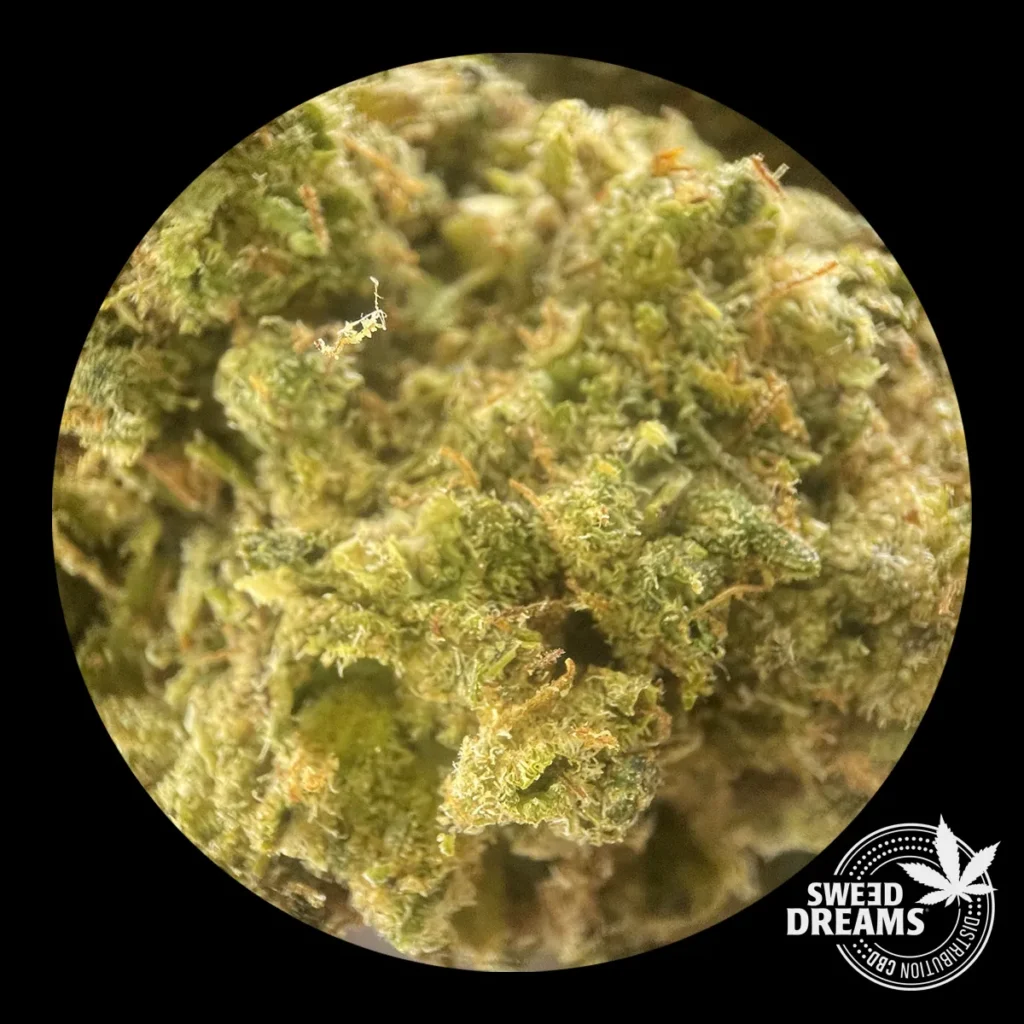 FORBBIDEN FRUIT MICRO Comprar CBD Online