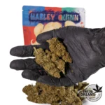 Harley Queen 5g 3x2 !! - Imagen 2