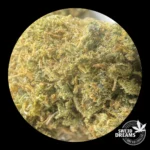 Harley Queen 1gr 3x2!! - Imagen 5