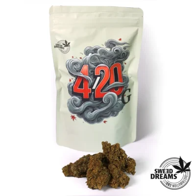 Hareley Queen 420 PORTADA Nuestras Ofertas