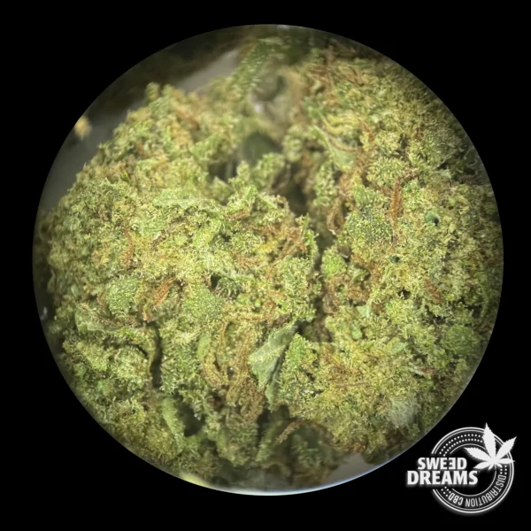 Legendary White 1gr - Glass House 12%-15%CBD (2025/26) - Imagen 3