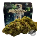 Mendocino Purple Broccoli Collection, 3x2 !! - Imagen 3