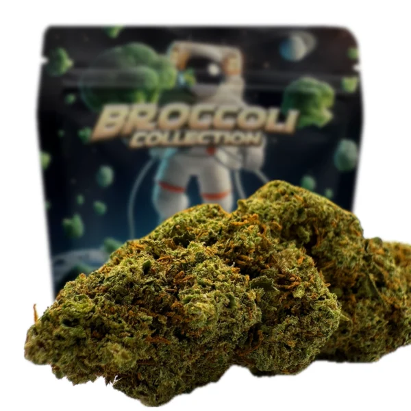 Mendocino Purple Broccoli Collection, 3x2 !! - Imagen 2