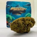 DESCATALOGADO - Tropic Thunder 1gr Broccoli Collection - Imagen 2