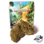 Orange Bud - Glass House 9%CBD (2025/26)