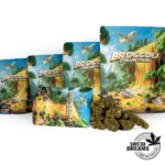 Orange Bud - Glass House 9%CBD (2025/26)