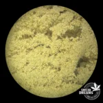 Rubio - Hash 12%CBD (2025/26) - Imagen 4