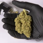 Zkittlez 2,5gr - Hidropónica 12%CBD (2025/26) - Imagen 3