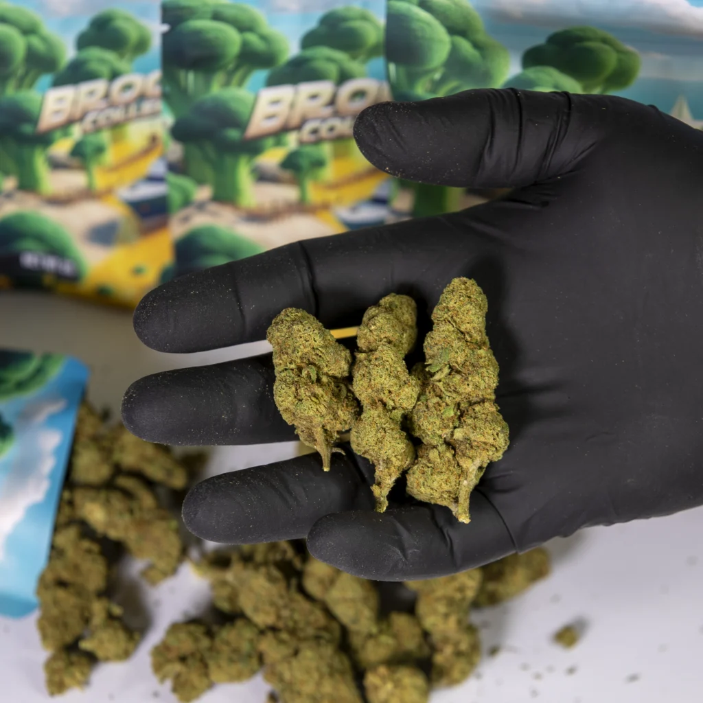 BROCOLI BARCO MANO copia Comprar CBD Online