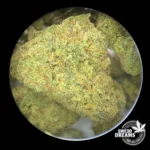Sweet Karma - Green House 6%CBD (2025/26) - Imagen 3