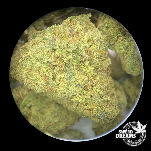 Sweet Karma - Green House 6%CBD (2025/26) - Imagen 3