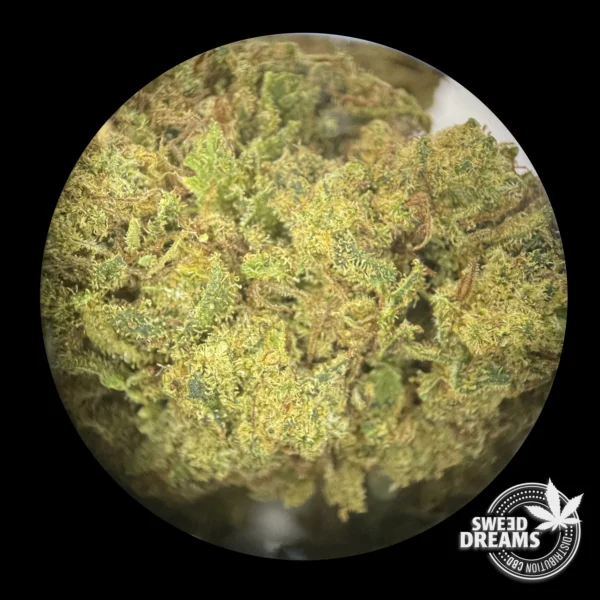 Apple Fritzer - Green House 6%CBD (2025/26) - Imagen 3