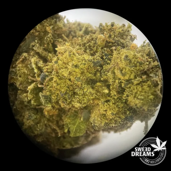 Diesel Lime 1gr - Green House 12%CBD - OFERTA 3x2!! - Imagen 3