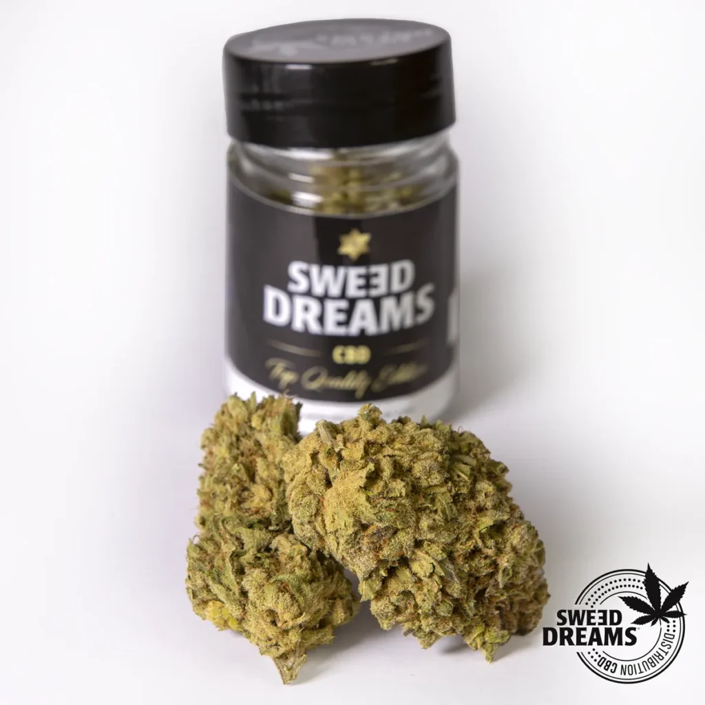 NORTHERLINE PORTADA Comprar CBD Online