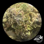 Ultra Pink - Green House 14%CBD (2025/26) - Imagen 4