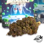 Ultra Pink - Green House 14%CBD (2025/26) - Imagen 2