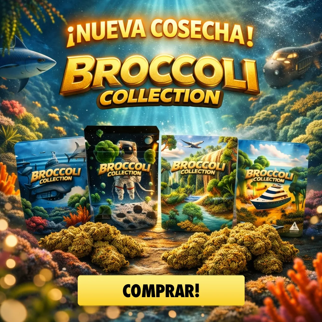 Broccoli Collection