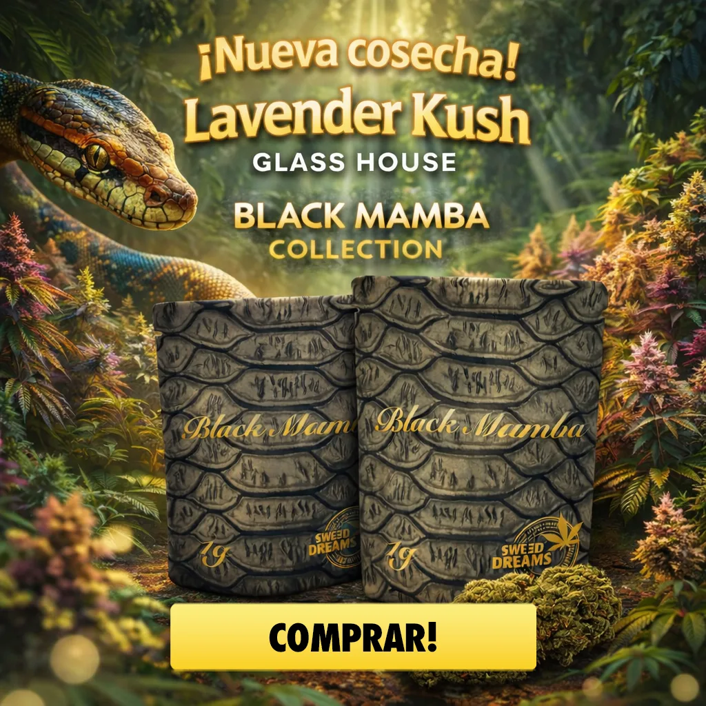 Black Mamba lavender kush