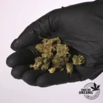 Neo Cannatonic - 11%CBD + 9%CBZ - Imagen 2