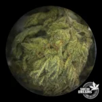 Neo Cannatonic - 11%CBD + 9%CBZ - Imagen 3