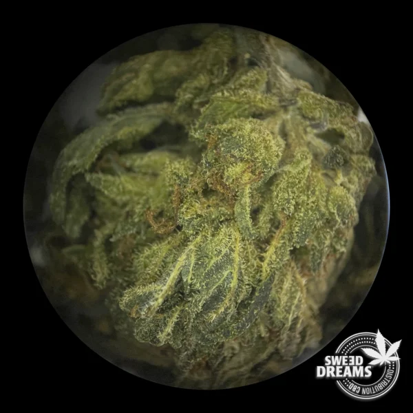 Neo Cannatonic - 11%CBD + 9%CBZ - Imagen 3