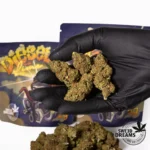 Orange Diesel - Glasshouse 8%CBD (2025/26) - Imagen 2