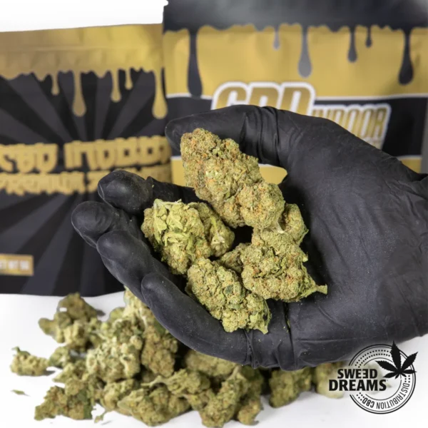 OG Haze - Indoor Premium <15%CBD (2025/26) - Imagen 2