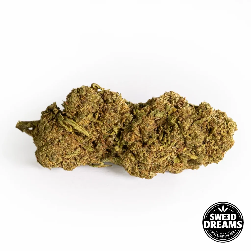 MANGO Comprar CBD Online