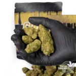 Mimosa - Indoor Premium <15%CBD (2025/26) - Imagen 2