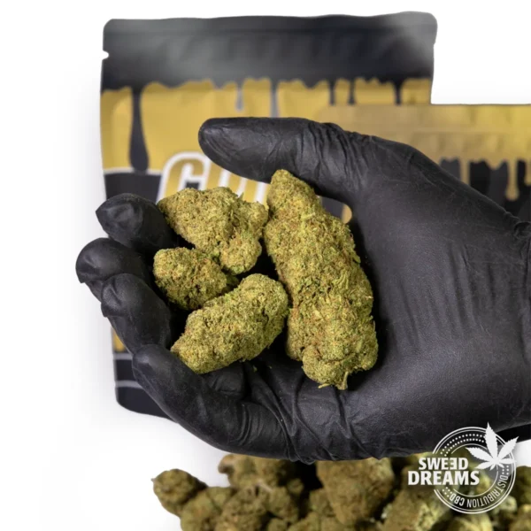 Mimosa - Indoor Premium <15%CBD (2025/26) - Imagen 2