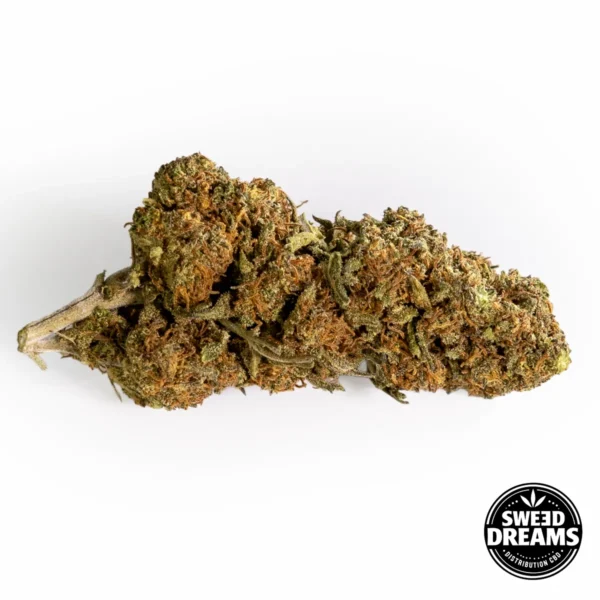 DIESEL TONIC - GLASSHOUSE - Imagen 2