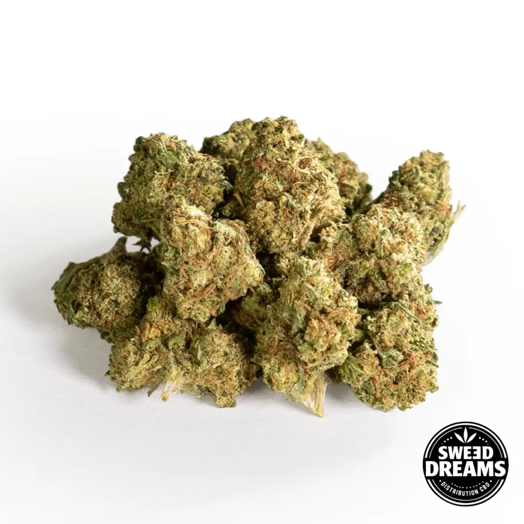 Watermelon Comprar CBD Online