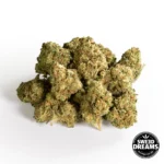 WATERMELON ZKITTLEZ - GREENHOUSE - SMALL BUDS