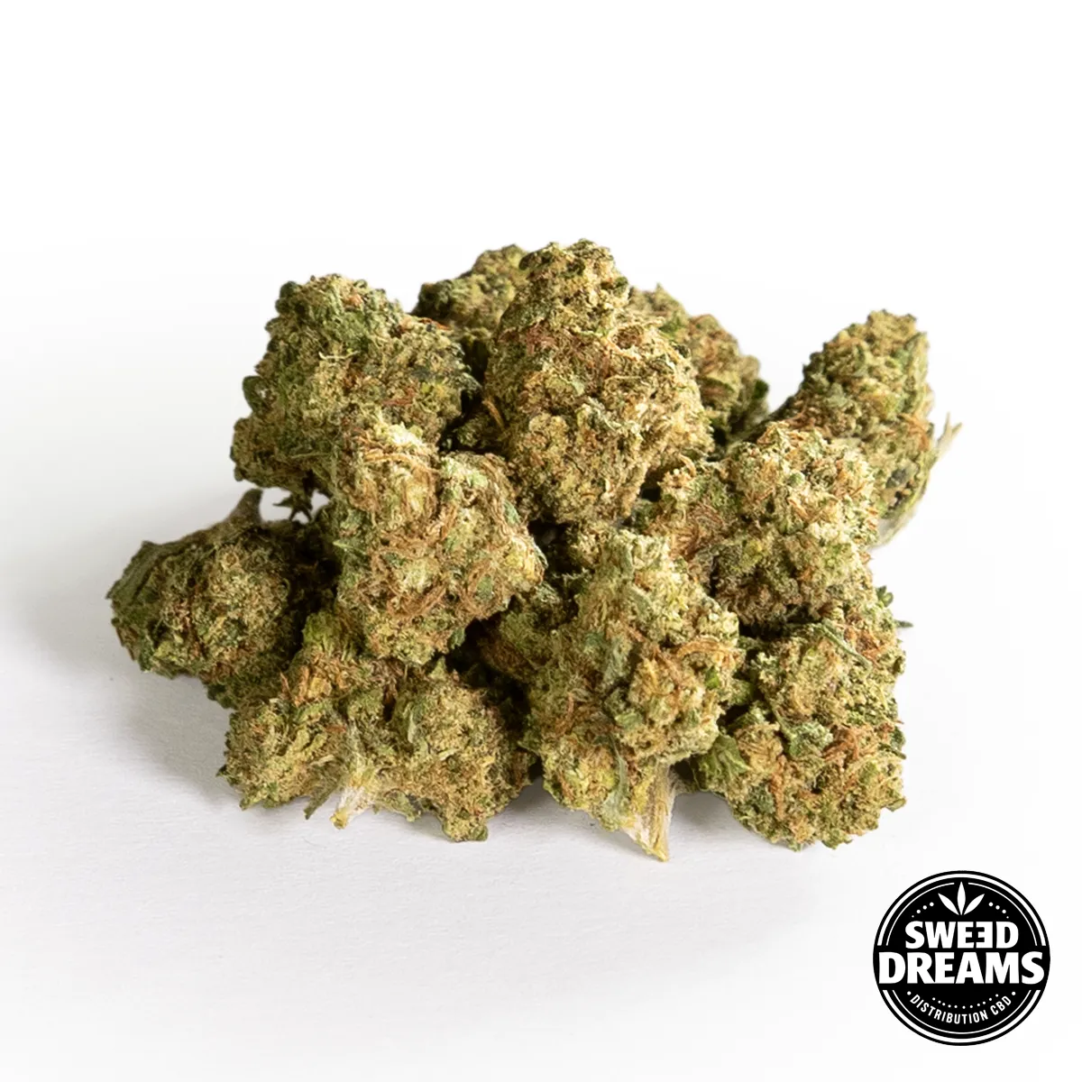 Watermelon WATERMELON ZKITTLEZ - GREENHOUSE - SMALL BUDS - Imagen 1
