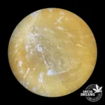 Destilado Broad Spectrum - 94%CBD (2025/26) - Imagen 3