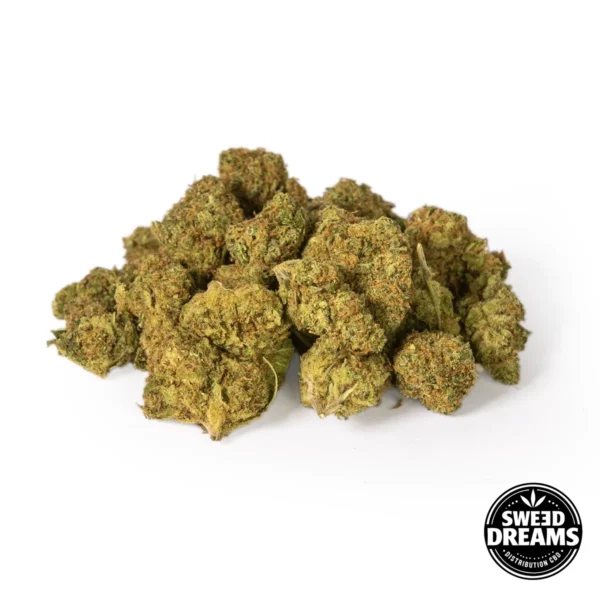 GELATO - INDOOR - SMALL BUDS - Imagen 2