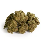 SUPER SKUNK - GREENHOUSE - SMALL BUDS